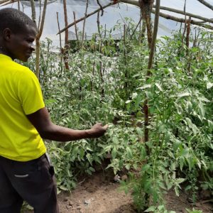 General Donation to Agripreneur